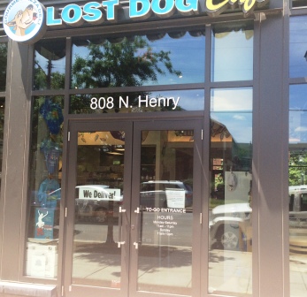 Lost Dog Alex photo